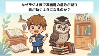 【凍結肩・拘縮肩】なぜラジオ波で凍結肩の痛みが減り肩が動くようになるのか?