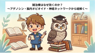 鍼治療はなぜ効くのか?〜アデノシン・脳内オピオイド・神経ネットワークから紐解く〜